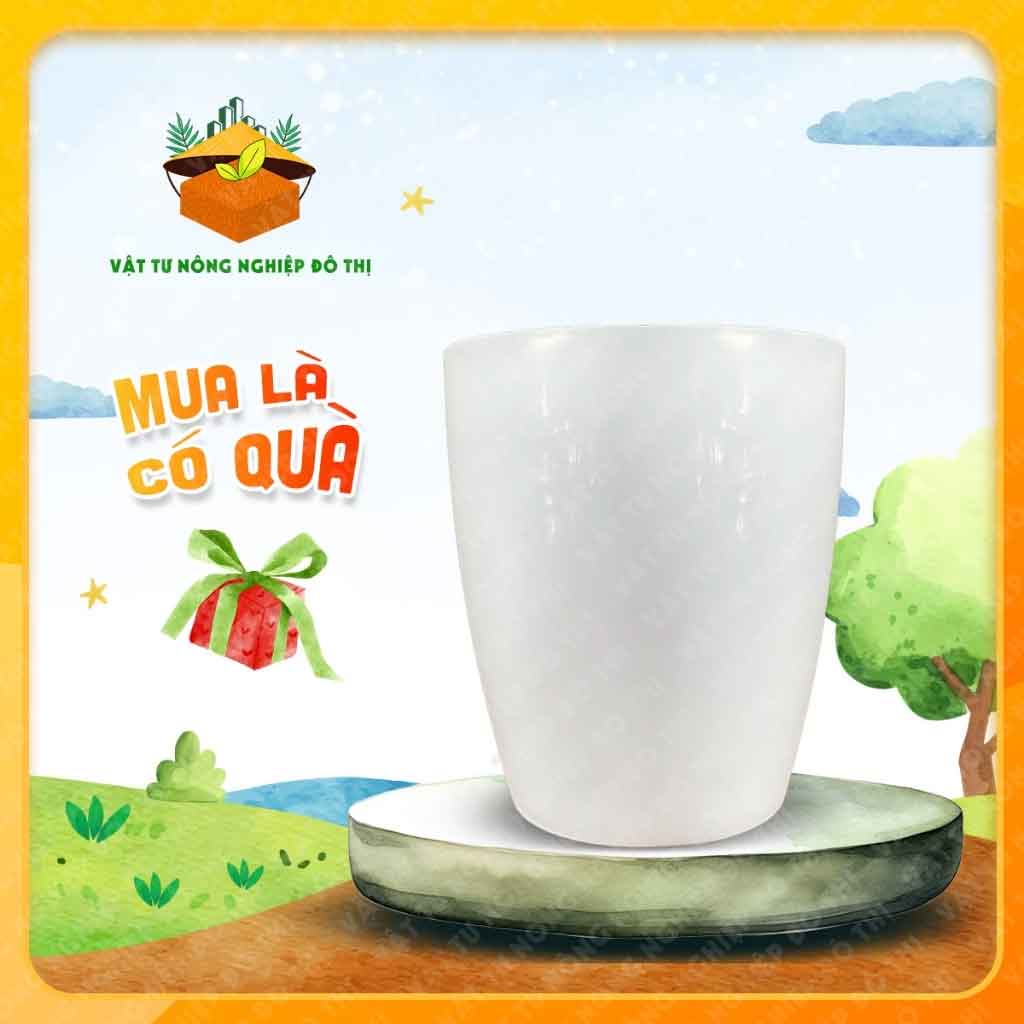 Chậu nhựa trắng Thakico - Chậu nhựa trồng cây thủy sinh, thủy canh - Size 11x13cm | Độc quyền VTNN Đô Thị