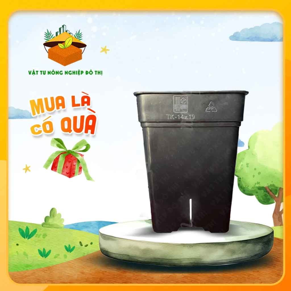 Chậu nhựa đen Thakico - Vuông - Size trung | Độc quyền VTNN Đô Thị